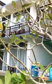 Туры в отель O2 Villas - Weligama Туры в отель O2 Villas - Weligama