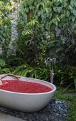 Туры в отель Adiwana Unagi Suites Туры в отель Adiwana Unagi Suites