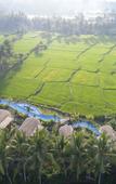 Туры в отель Beehouse Dijiwa Ubud Туры в отель Beehouse Dijiwa Ubud