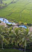 Туры в отель Beehouse Dijiwa Ubud Туры в отель Beehouse Dijiwa Ubud