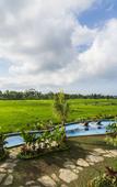 Туры в отель Beehouse Dijiwa Ubud Туры в отель Beehouse Dijiwa Ubud