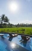 Туры в отель Beehouse Dijiwa Ubud Туры в отель Beehouse Dijiwa Ubud
