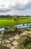 Туры в отель Beehouse Dijiwa Ubud Туры в отель Beehouse Dijiwa Ubud