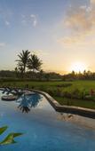 Туры в отель Beehouse Dijiwa Ubud Туры в отель Beehouse Dijiwa Ubud