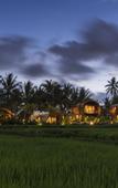 Туры в отель Beehouse Dijiwa Ubud Туры в отель Beehouse Dijiwa Ubud