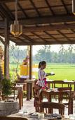 Туры в отель Beehouse Dijiwa Ubud Туры в отель Beehouse Dijiwa Ubud