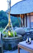 Туры в отель Kenran Resort Ubud Туры в отель Kenran Resort Ubud