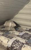 Туры в отель База отдыха Чуньки (Большое Вороново) Туры в отель База отдыха Чуньки (Большое Вороново)