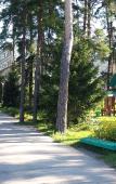 Туры в отель Санаторий Сосновый бор Туры в отель Санаторий Сосновый бор