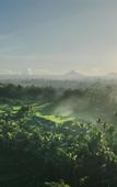 Туры в отель Kappa Senses Ubud Туры в отель Kappa Senses Ubud