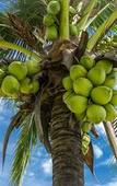 Туры в отель Coastal Escape Koh Yao Noi Туры в отель Coastal Escape Koh Yao Noi