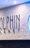 Туры в отель Dolphin Planet Hotel & SPA Туры в отель Dolphin Planet Hotel & SPA