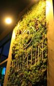 Туры в отель Dolphin Planet Hotel & SPA Туры в отель Dolphin Planet Hotel & SPA