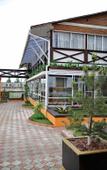 Туры в отель Dolphin Planet Hotel & SPA Туры в отель Dolphin Planet Hotel & SPA