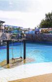 Туры в отель Dolphin Planet Hotel & SPA Туры в отель Dolphin Planet Hotel & SPA