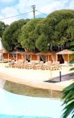 Туры в отель Dolphin Planet Hotel & SPA Туры в отель Dolphin Planet Hotel & SPA