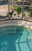 Туры в отель Dolphin Planet Hotel & SPA Туры в отель Dolphin Planet Hotel & SPA