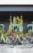 Туры в отель Blu Monkey Hub & Hotel Туры в отель Blu Monkey Hub & Hotel