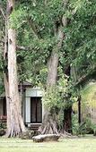 Туры в отель The Mangrove by Blu Monkey Туры в отель The Mangrove by Blu Monkey