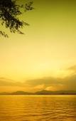 Туры в отель The Mangrove by Blu Monkey Туры в отель The Mangrove by Blu Monkey