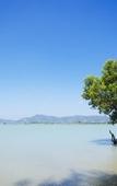 Туры в отель The Mangrove by Blu Monkey Туры в отель The Mangrove by Blu Monkey
