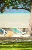 Туры в отель The Mangrove by Blu Monkey Туры в отель The Mangrove by Blu Monkey
