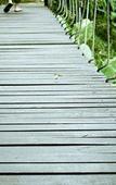 Туры в отель The Mangrove by Blu Monkey Туры в отель The Mangrove by Blu Monkey