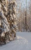 Туры в отель Санаторий Беломорье Туры в отель Санаторий Беломорье
