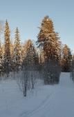 Туры в отель Санаторий Беломорье Туры в отель Санаторий Беломорье