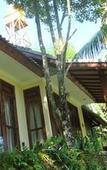 Туры в отель Atres Villa Туры в отель Atres Villa
