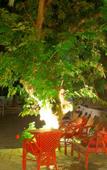 Туры в отель Esperides Hotel Туры в отель Esperides Hotel