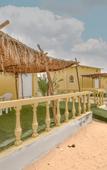 Туры в отель Golden Palm Oasis Туры в отель Golden Palm Oasis