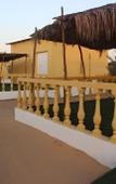 Туры в отель Golden Palm Oasis Туры в отель Golden Palm Oasis