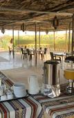 Туры в отель Golden Palm Oasis Туры в отель Golden Palm Oasis