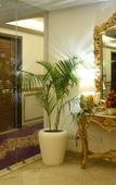 Туры в отель The Exotica Grand Туры в отель The Exotica Grand