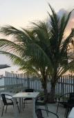 Туры в отель Iris Beach Residence Туры в отель Iris Beach Residence