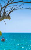 Туры в отель Anyavee Krabi Beach Resort Туры в отель Anyavee Krabi Beach Resort