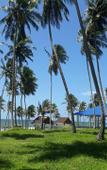 Туры в отель Blue And Green Resort Туры в отель Blue And Green Resort