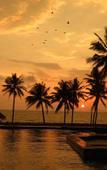 Туры в отель Blue And Green Resort Туры в отель Blue And Green Resort