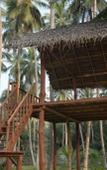 Туры в отель Blue And Green Resort Туры в отель Blue And Green Resort