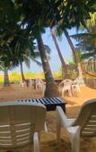 Туры в отель Honey Beach Negombo Туры в отель Honey Beach Negombo