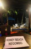 Туры в отель Honey Beach Negombo Туры в отель Honey Beach Negombo