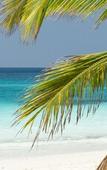 Туры в отель Tikitam Palms Boutique Hotel Туры в отель Tikitam Palms Boutique Hotel