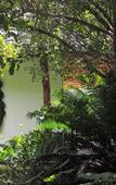 Туры в отель Tikitam Palms Boutique Hotel Туры в отель Tikitam Palms Boutique Hotel