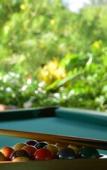 Туры в отель Tikitam Palms Boutique Hotel Туры в отель Tikitam Palms Boutique Hotel