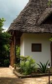 Туры в отель Tikitam Palms Boutique Hotel Туры в отель Tikitam Palms Boutique Hotel