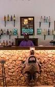 Туры в отель Tikitam Palms Boutique Hotel Туры в отель Tikitam Palms Boutique Hotel