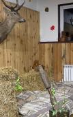 Туры в отель Парк-Отель Березка Туры в отель Парк-Отель Березка