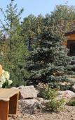 Туры в отель Космос Касарги Туры в отель Космос Касарги