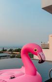 Туры в отель Blackwoods Hotel Pattaya Туры в отель Blackwoods Hotel Pattaya